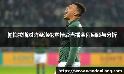 帕梅拉斯对阵圣洛伦索精彩直播全程回顾与分析